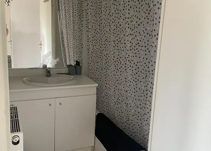 T3- 2 Zenith Tramway Διαμέρισμα Στρασβούργο